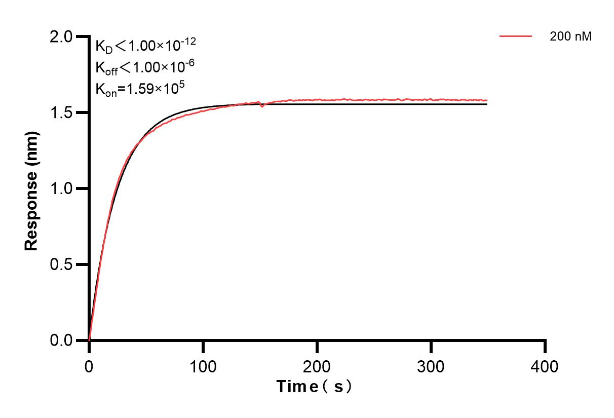 Affinity and Kinetic Characterization of 83773-1-PBS