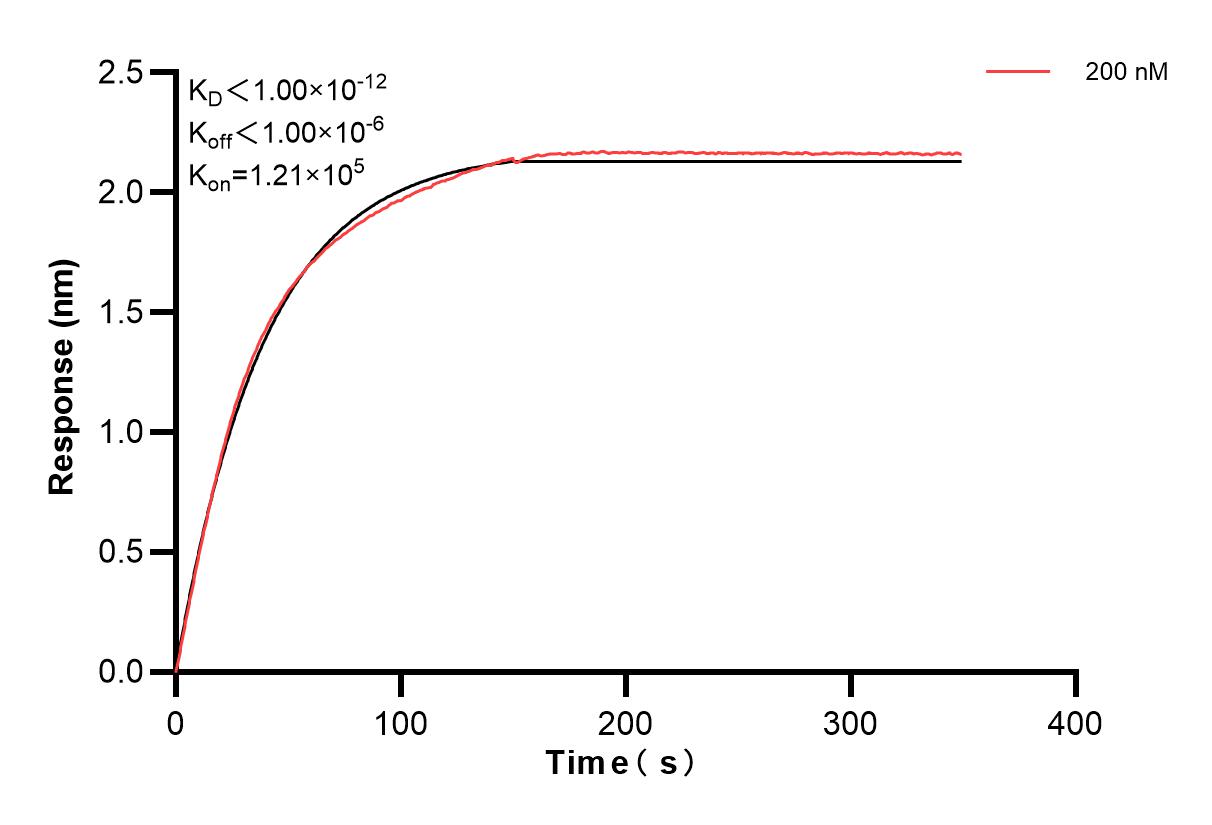 Affinity and Kinetic Characterization of 83773-5-PBS