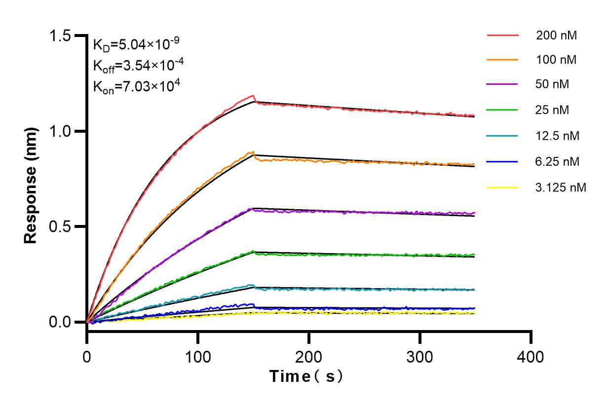 Affinity and Kinetic Characterization of 83773-7-RR