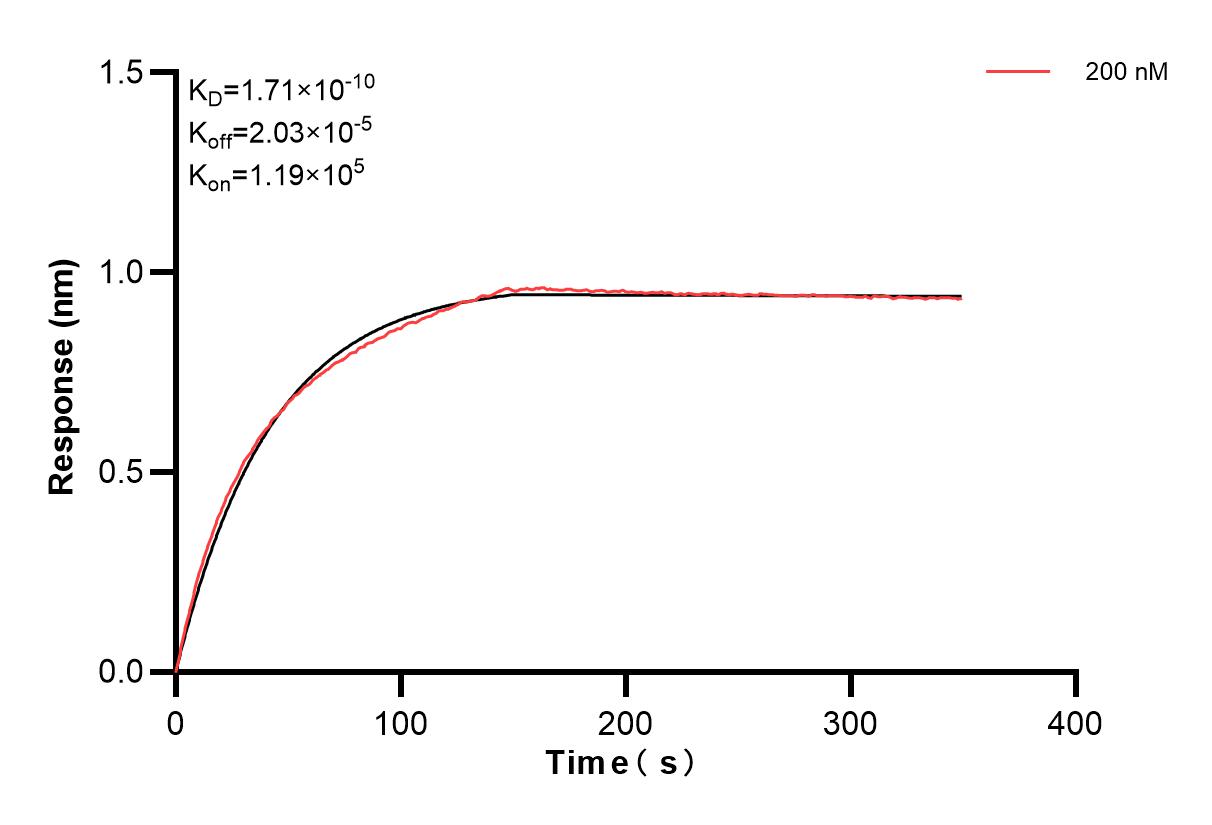 Affinity and Kinetic Characterization of 83782-3-PBS