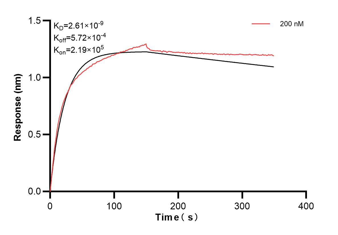 Affinity and Kinetic Characterization of 83788-2-PBS