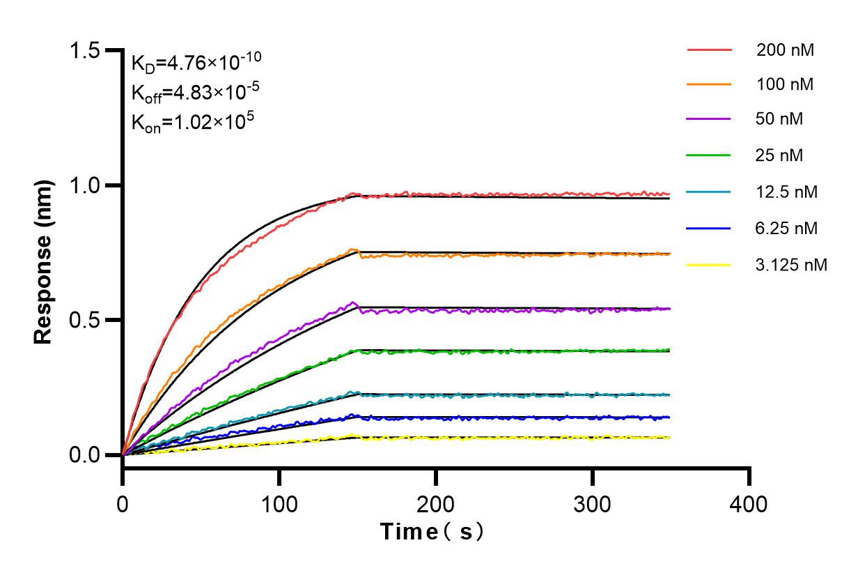 Affinity and Kinetic Characterization of 83788-4-RR