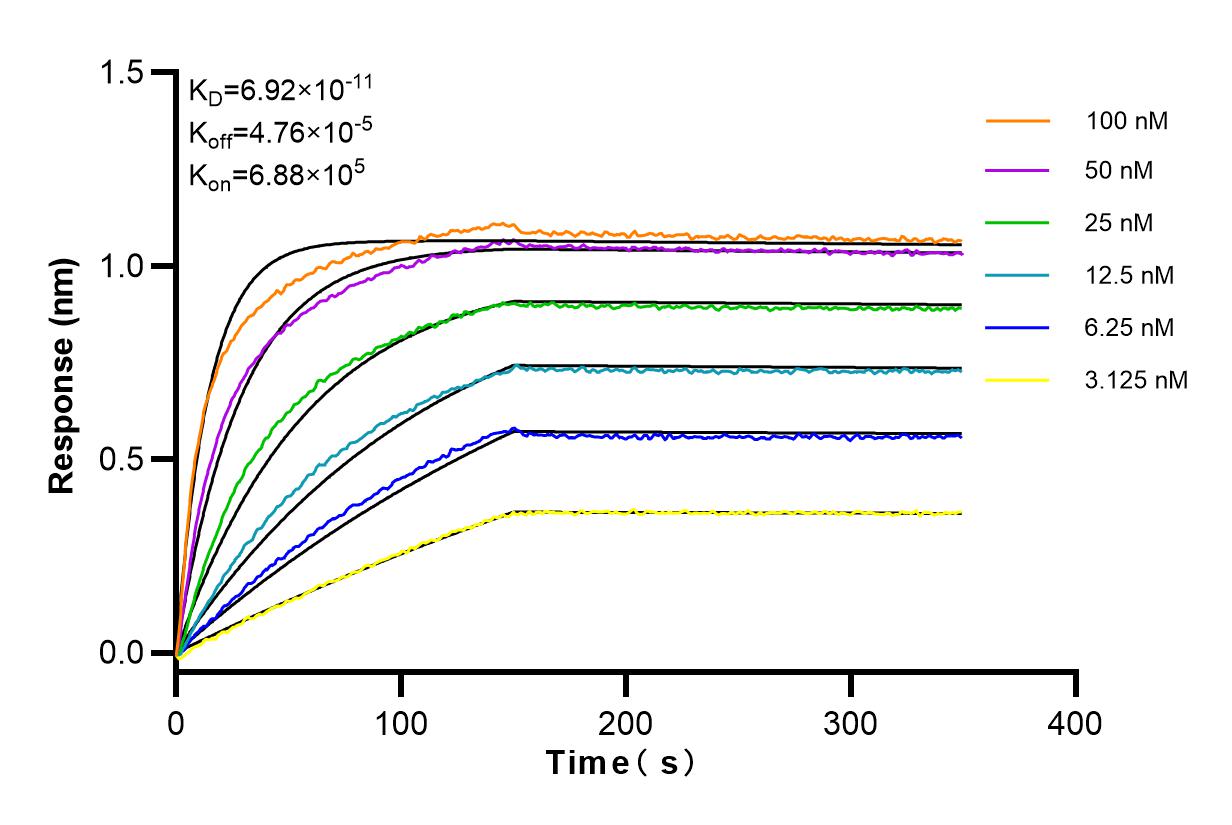 Affinity and Kinetic Characterization of 83791-6-RR