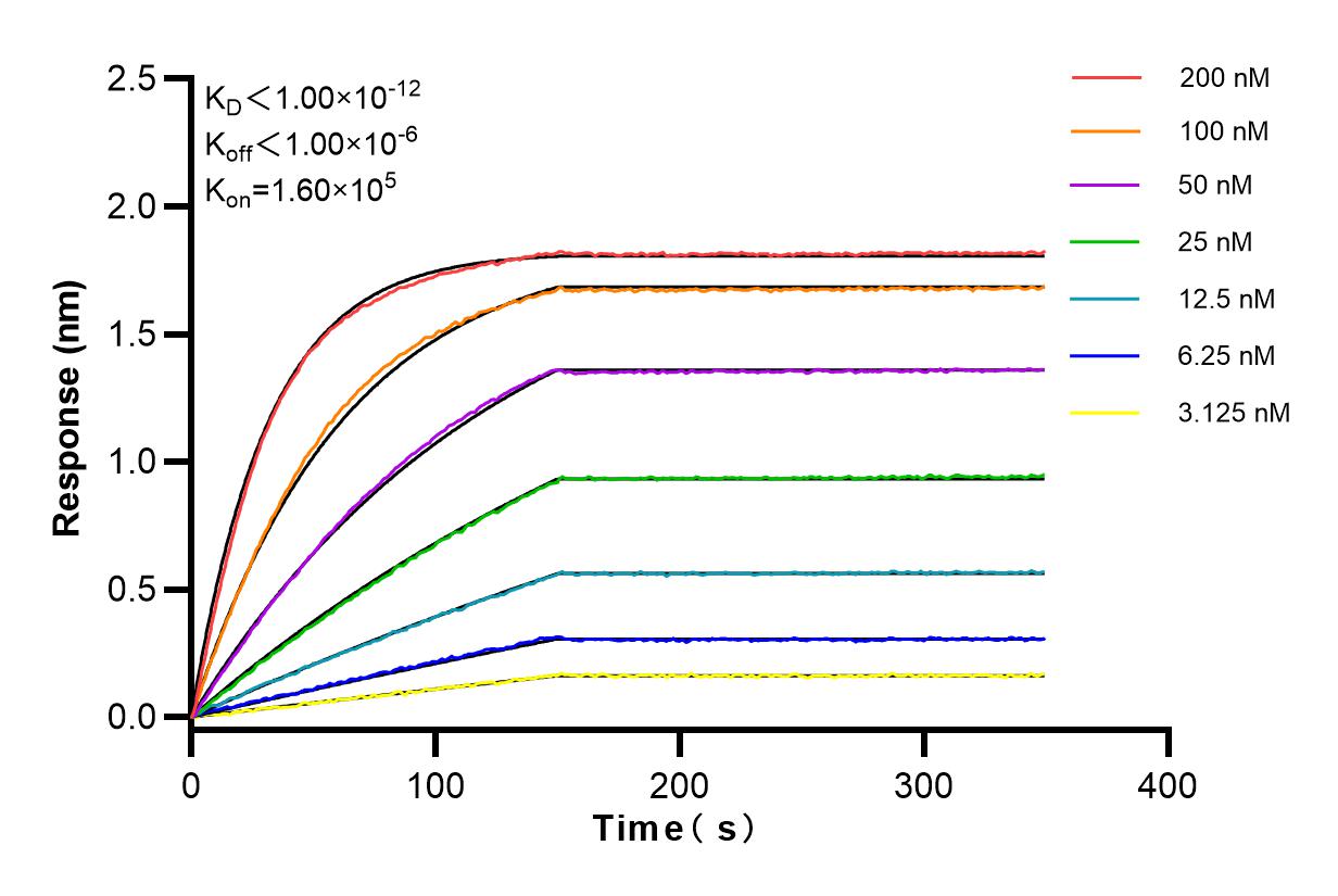 Affinity and Kinetic Characterization of 83793-5-RR