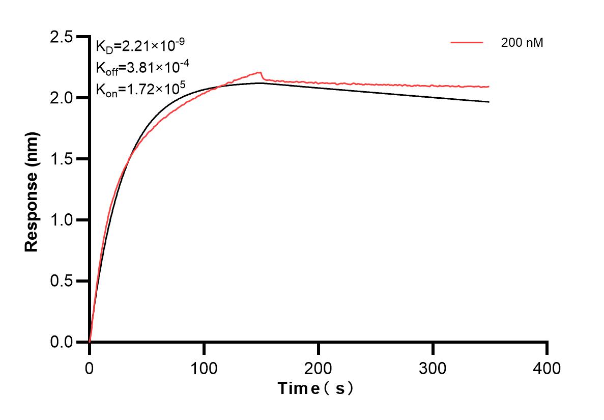 Affinity and Kinetic Characterization of 83794-3-PBS