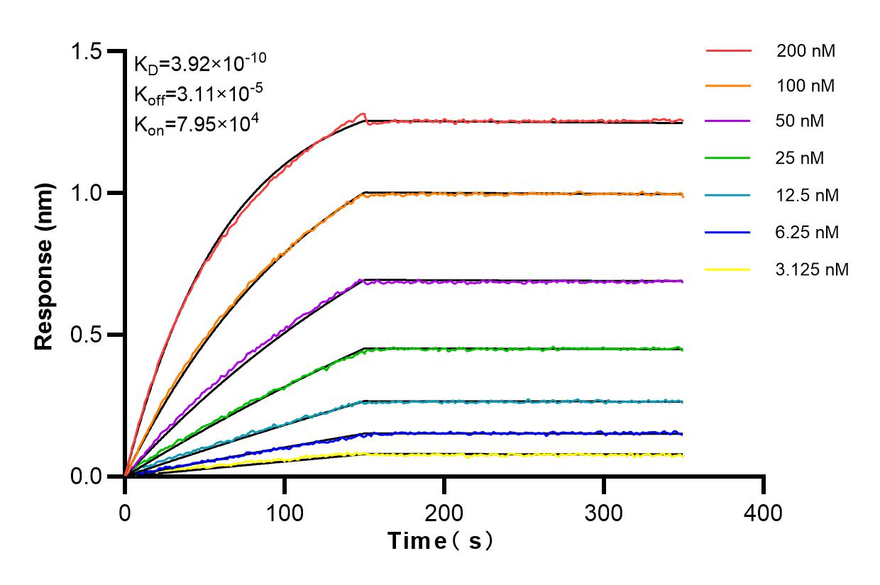 Affinity and Kinetic Characterization of 83794-4-RR