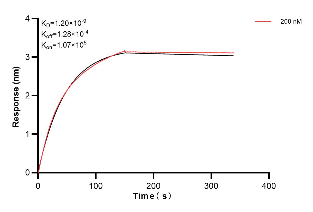 Affinity and Kinetic Characterization of 83796-2-PBS