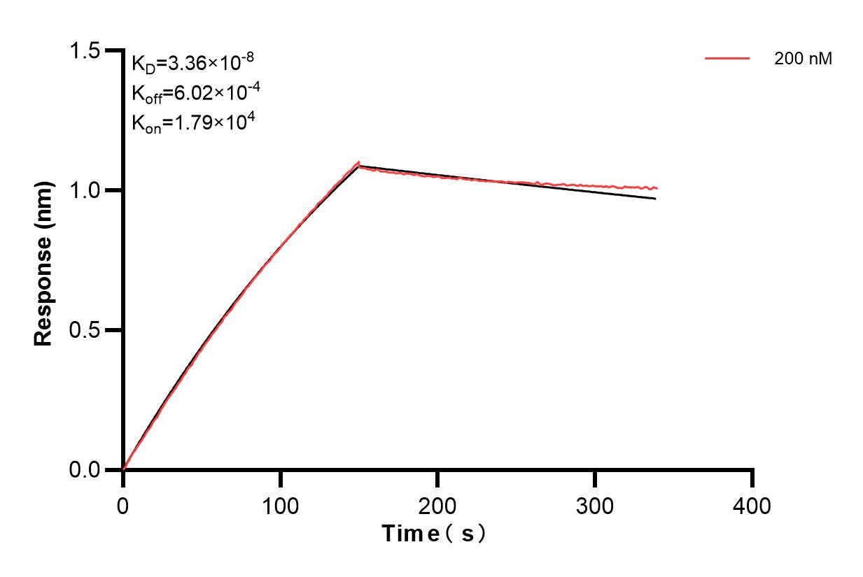 Affinity and Kinetic Characterization of 83796-3-PBS