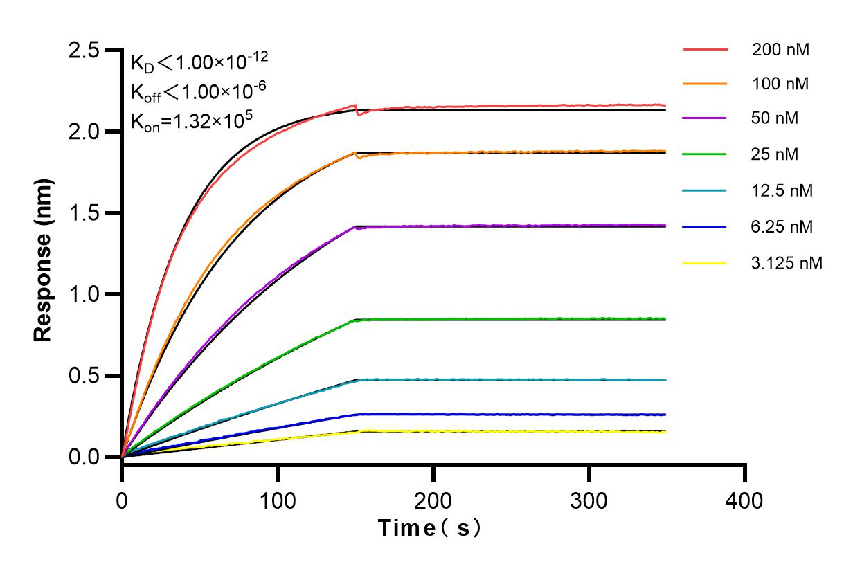 Affinity and Kinetic Characterization of 83824-4-RR