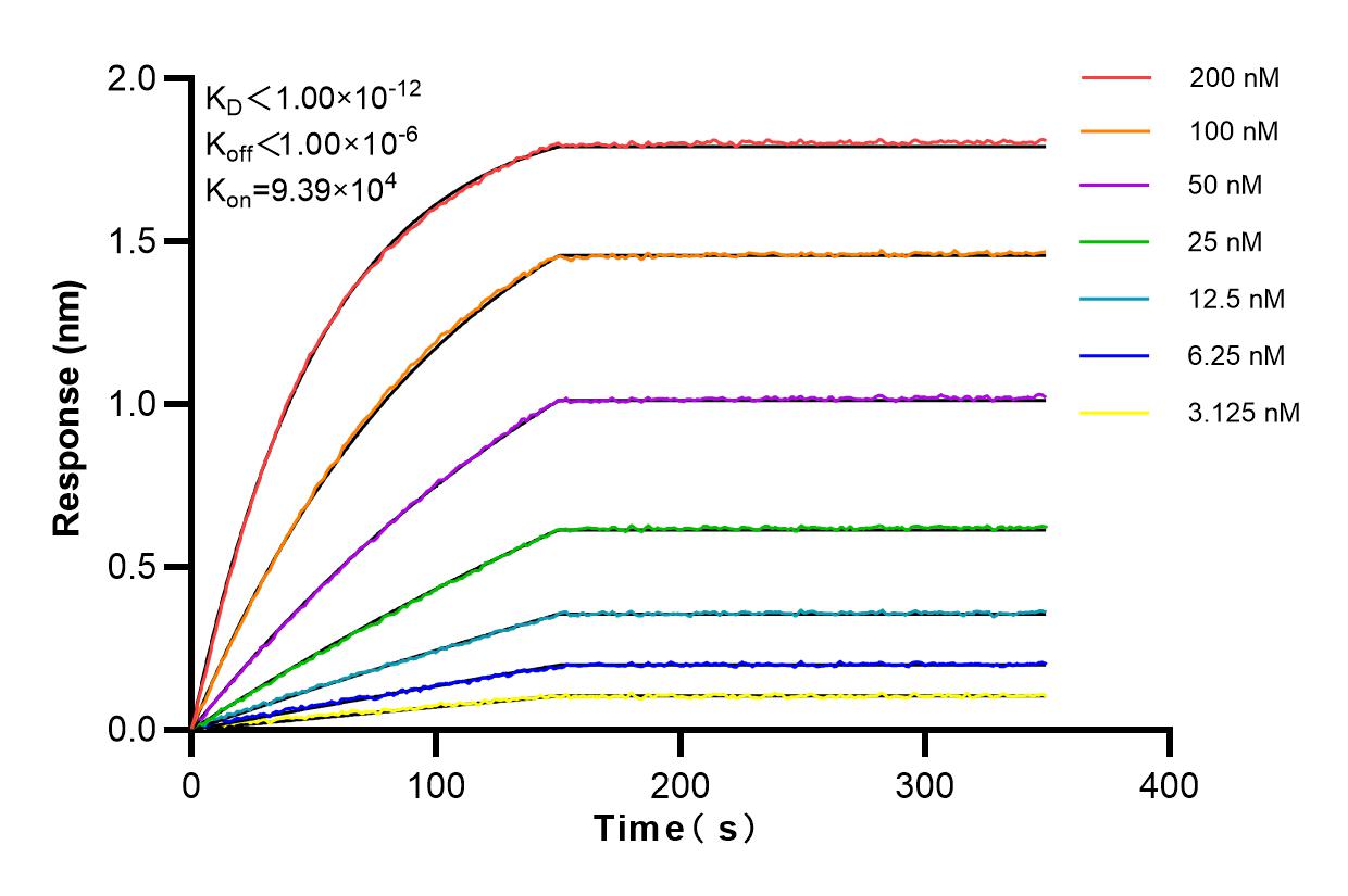 Affinity and Kinetic Characterization of 83824-5-RR