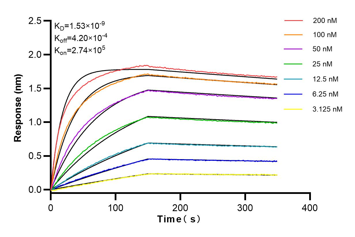 Affinity and Kinetic Characterization of 83825-3-RR