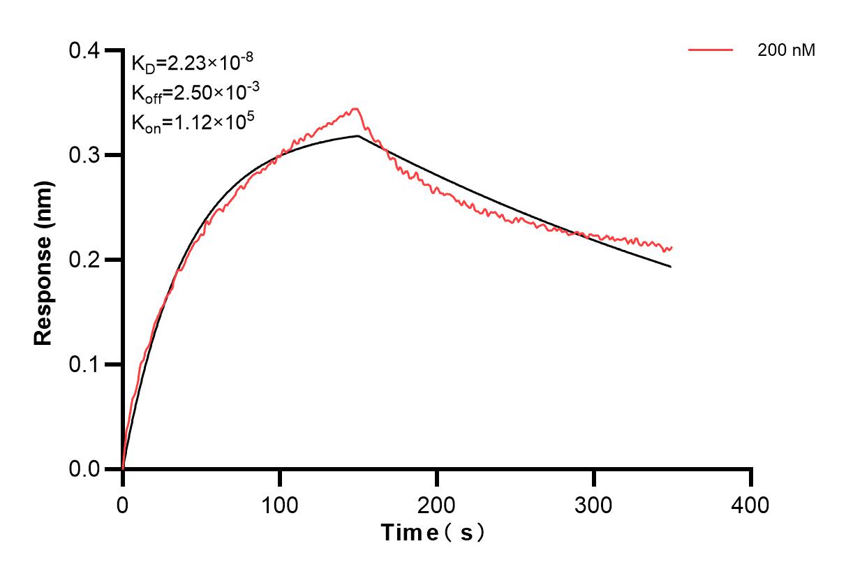 Affinity and Kinetic Characterization of 83827-1-PBS