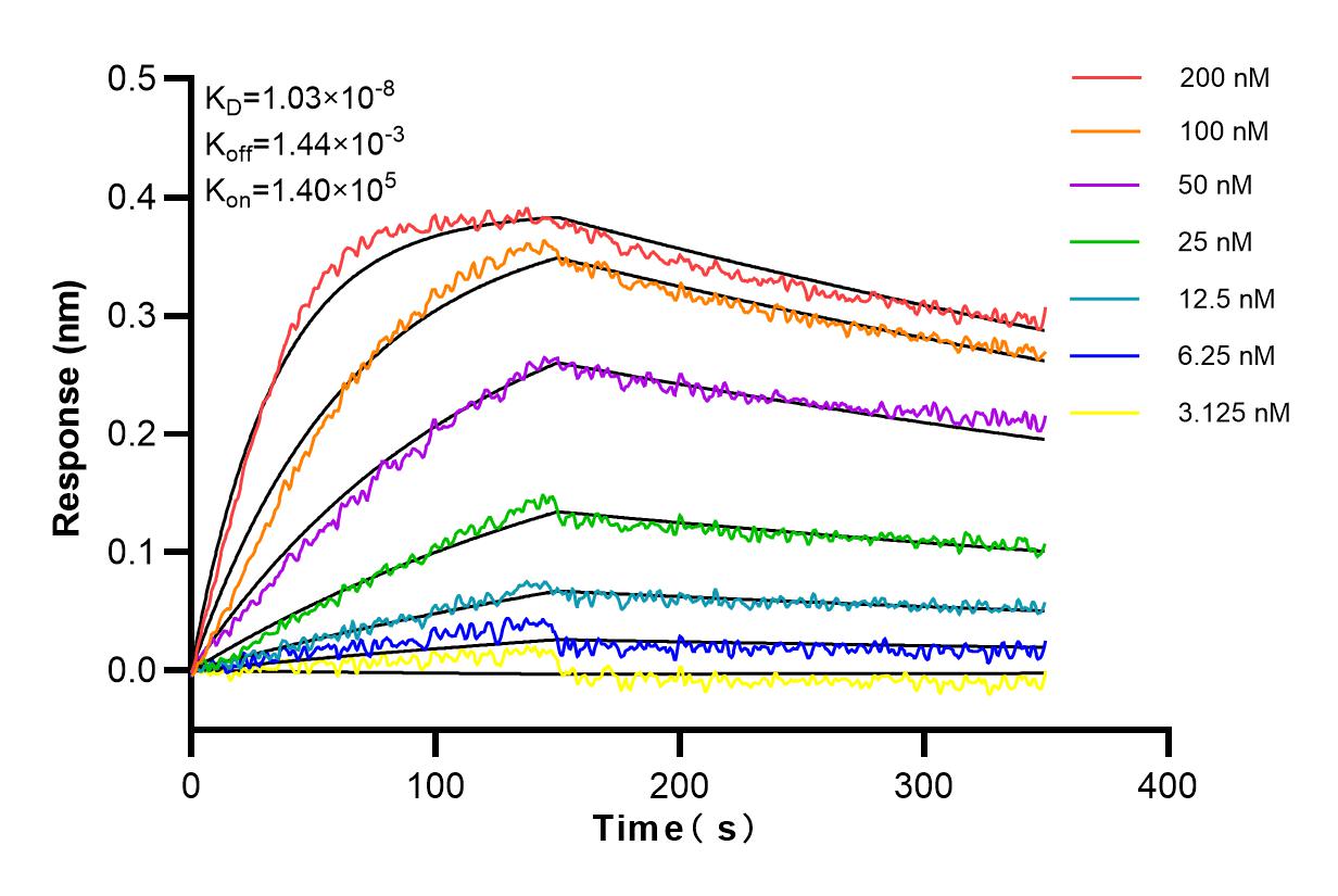 Affinity and Kinetic Characterization of 83827-3-RR