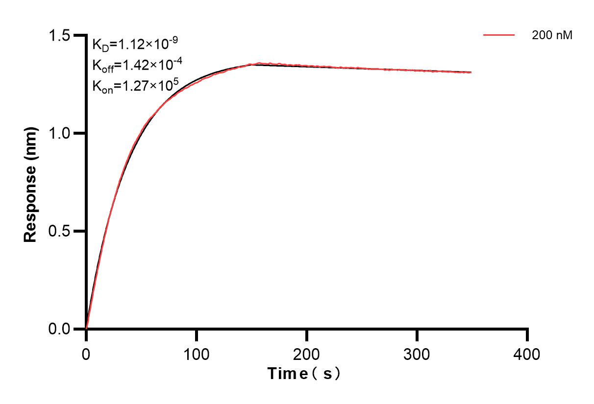 Affinity and Kinetic Characterization of 83829-2-PBS