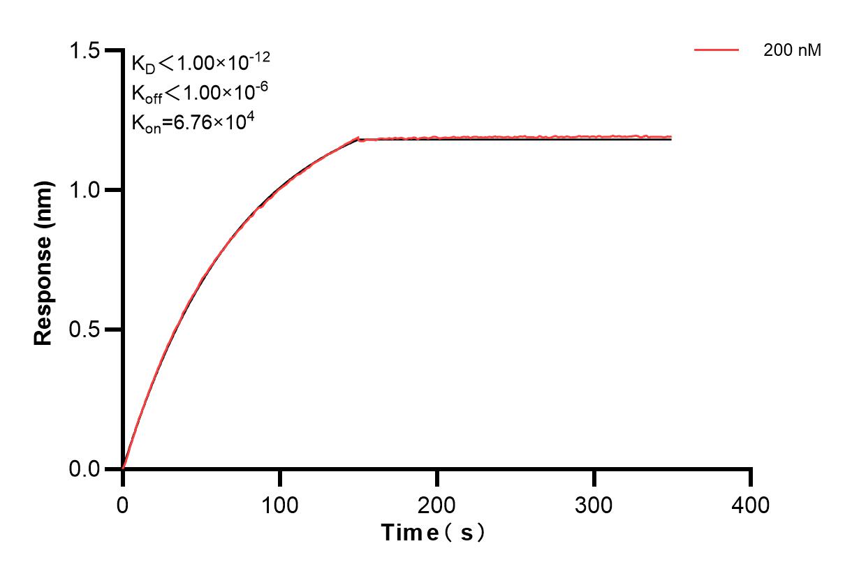 Affinity and Kinetic Characterization of 83829-3-PBS