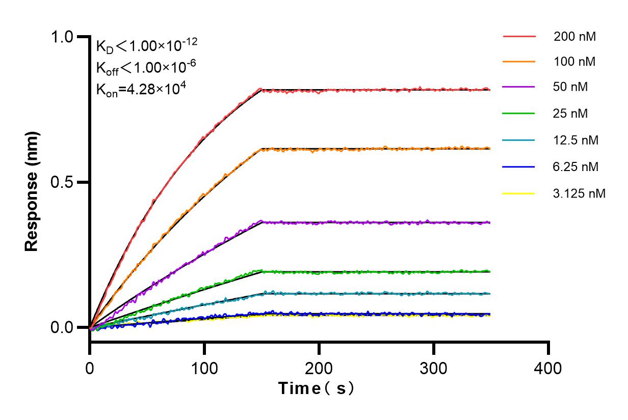 Affinity and Kinetic Characterization of 83829-7-RR