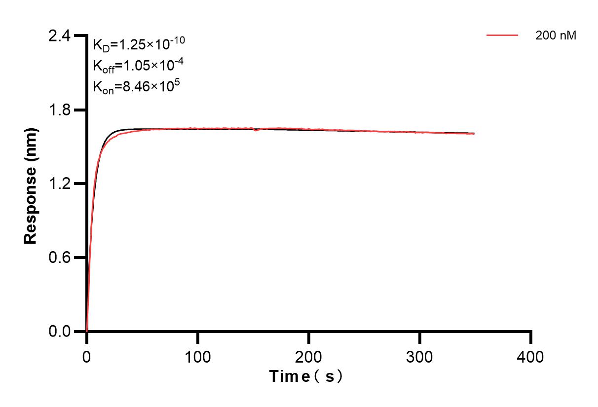 Affinity and Kinetic Characterization of 83832-2-PBS