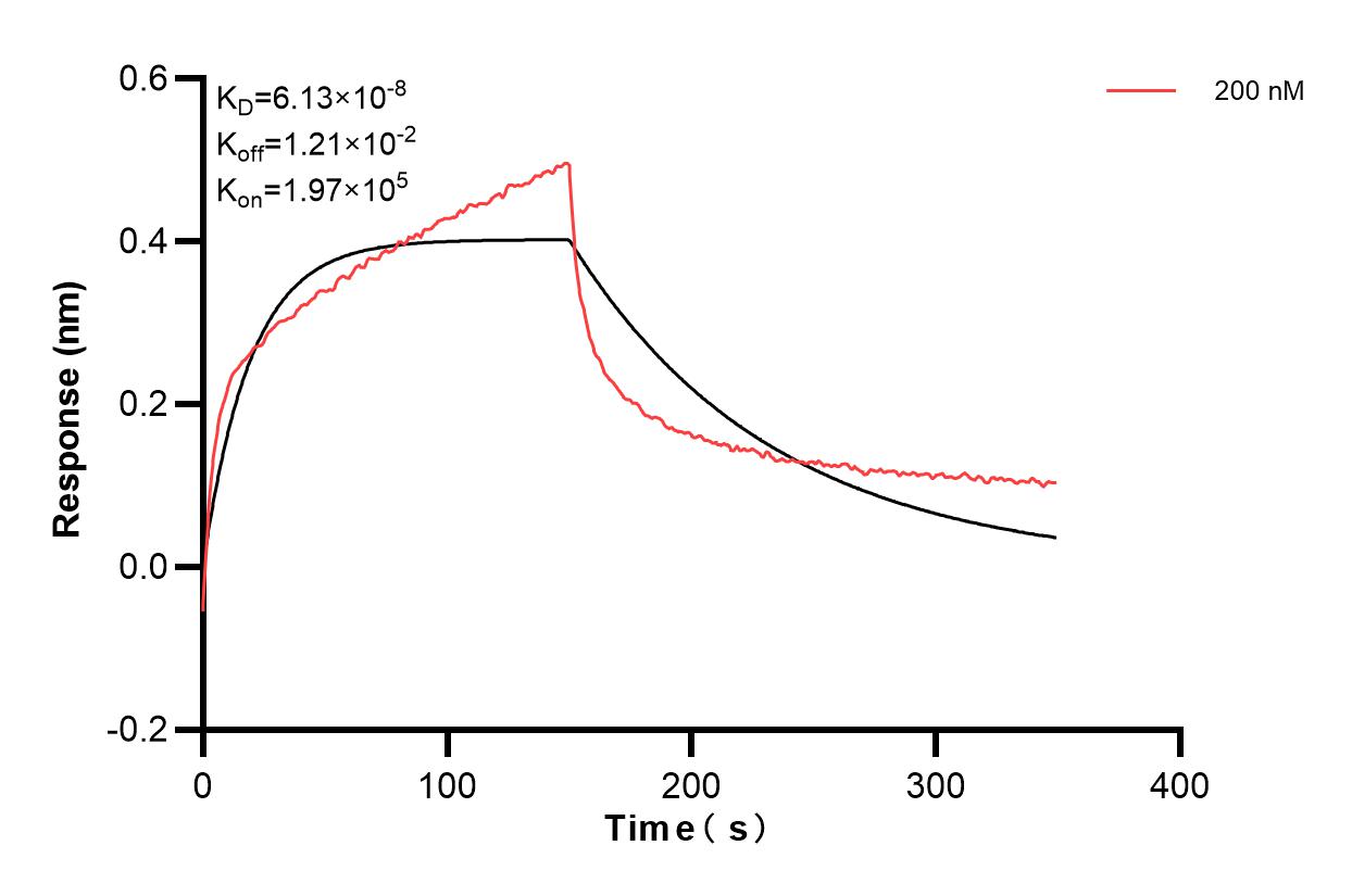 Affinity and Kinetic Characterization of 83832-4-PBS