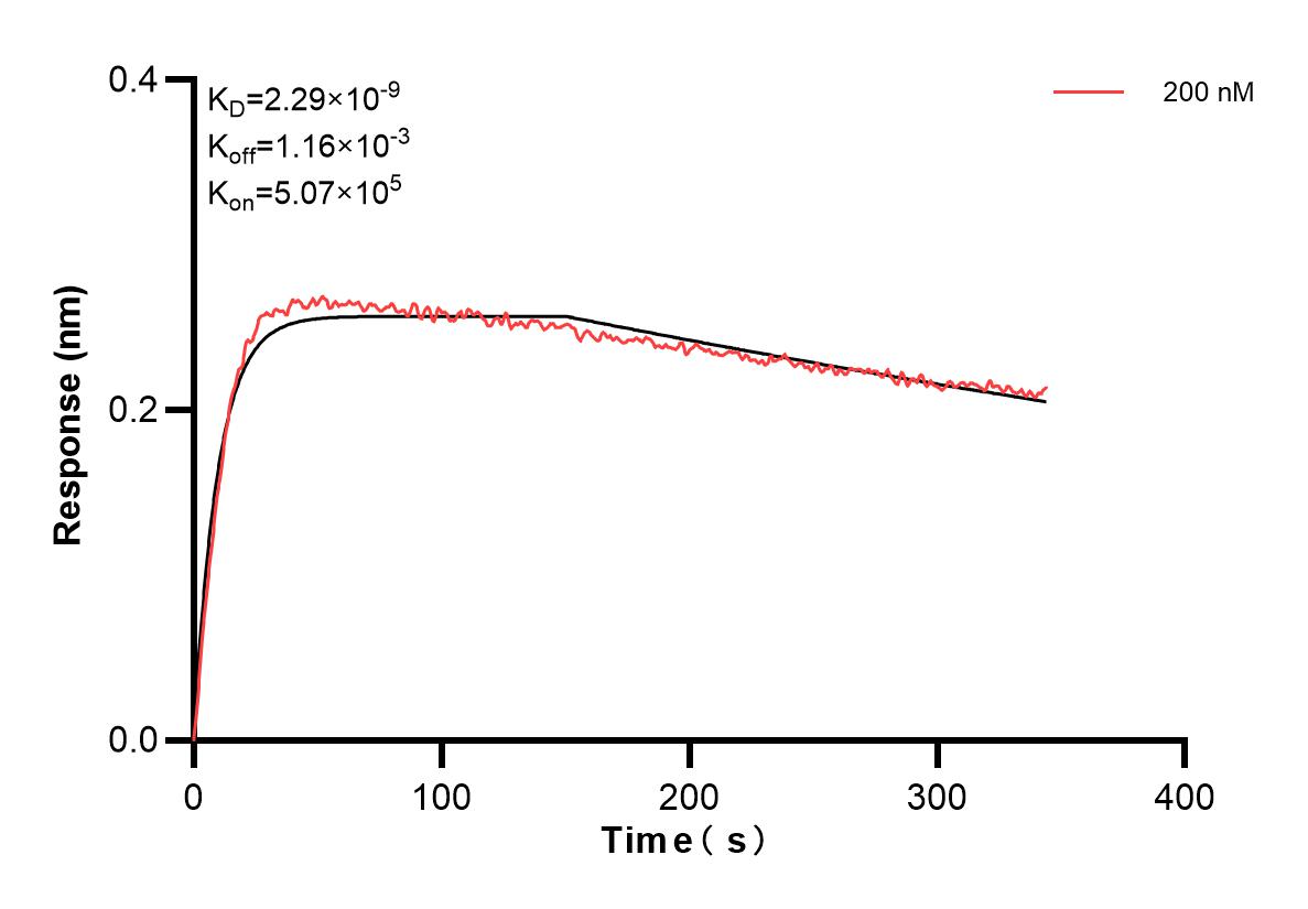 Affinity and Kinetic Characterization of 83833-2-PBS