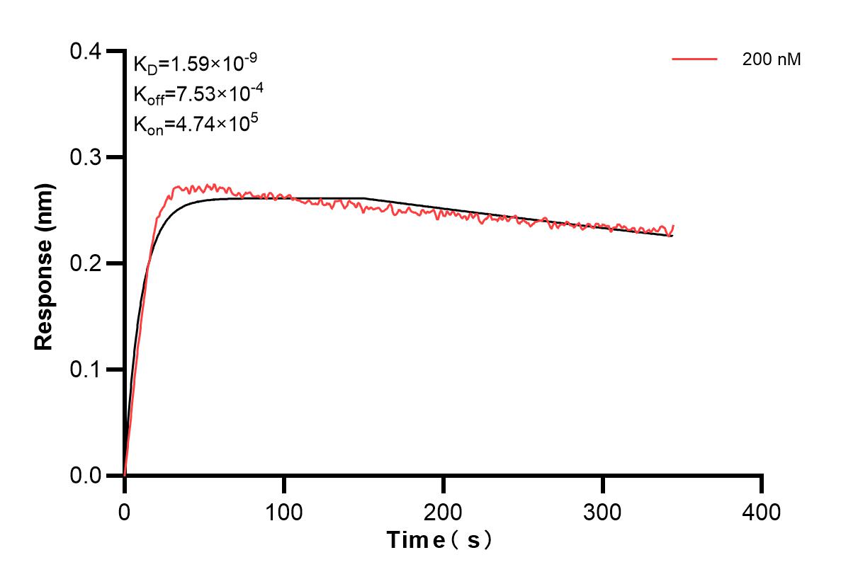 Affinity and Kinetic Characterization of 83833-4-PBS