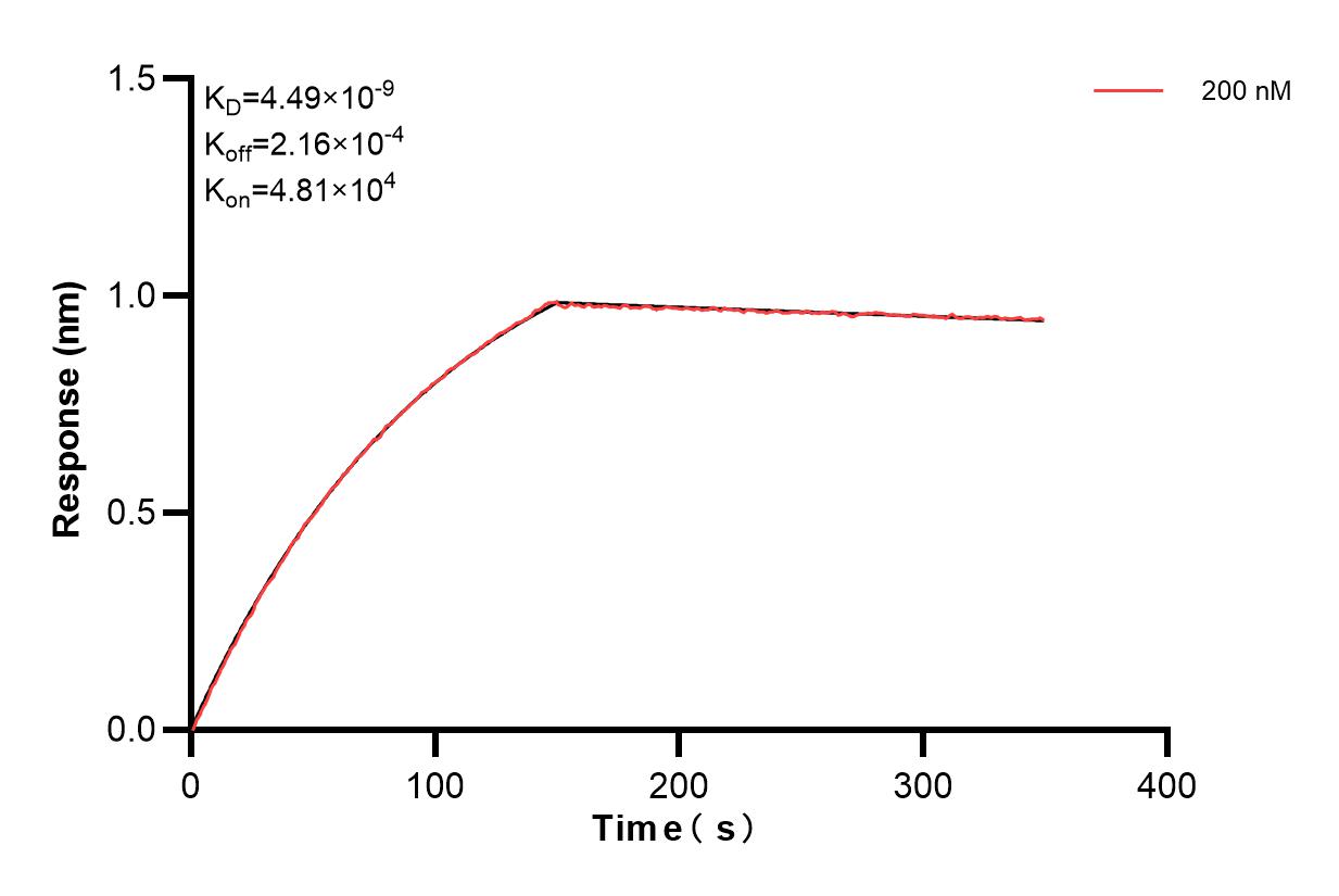 Affinity and Kinetic Characterization of 83835-1-PBS