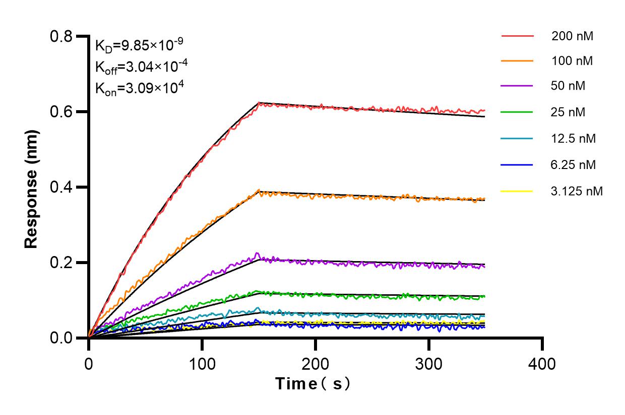 Affinity and Kinetic Characterization of 83835-1-RR