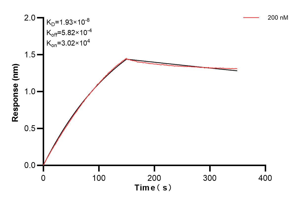 Affinity and Kinetic Characterization of 83835-2-PBS