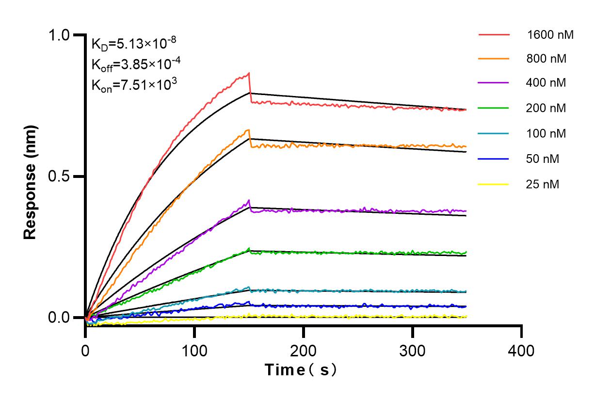 Affinity and Kinetic Characterization of 83836-4-RR