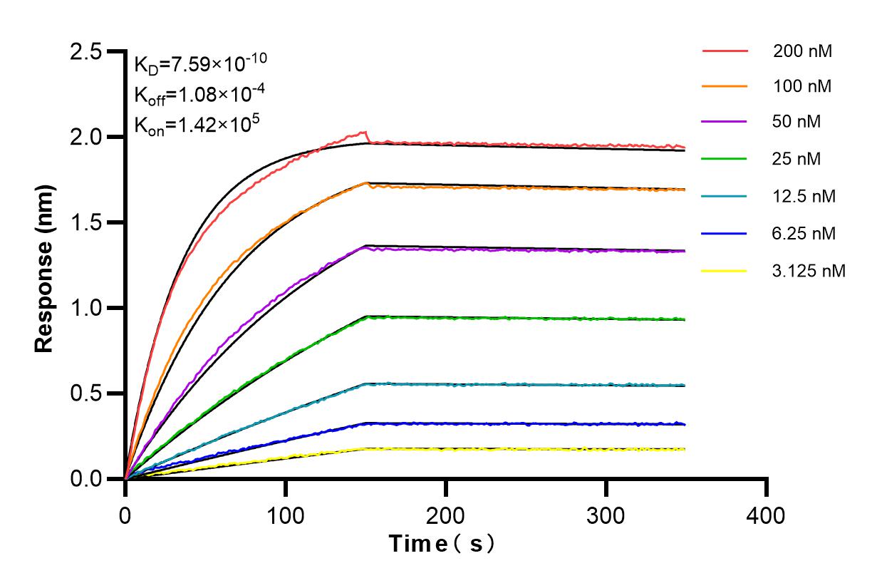 Affinity and Kinetic Characterization of 83837-1-RR