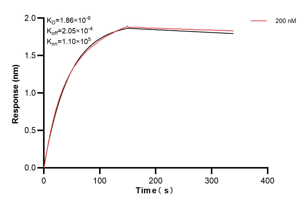 Affinity and Kinetic Characterization of 83840-1-PBS