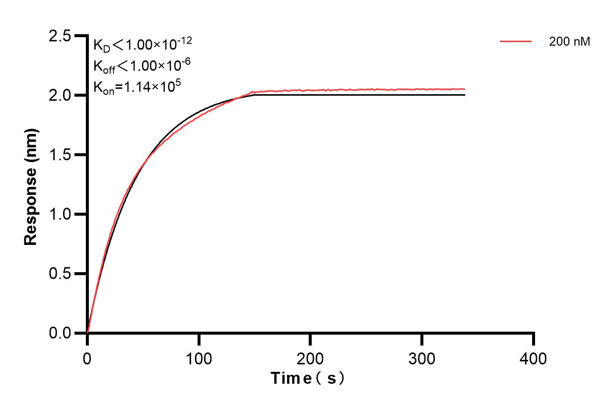 Affinity and Kinetic Characterization of 83840-2-PBS