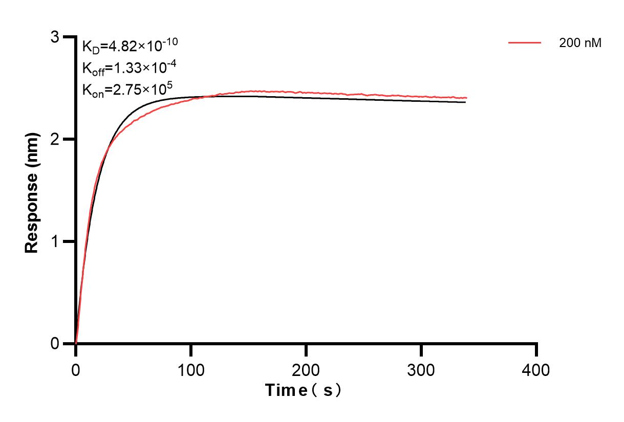 Affinity and Kinetic Characterization of 83840-3-PBS