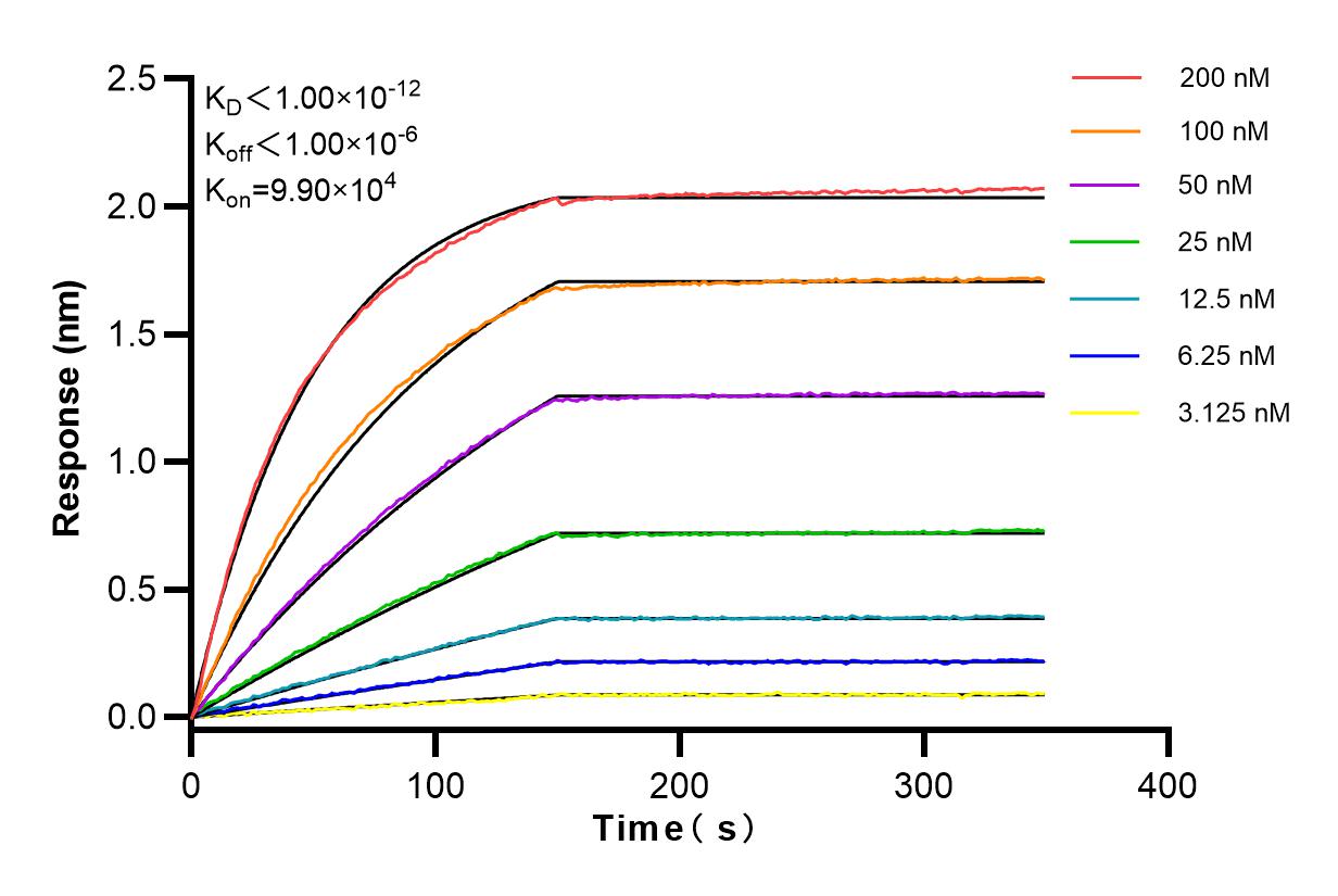 Affinity and Kinetic Characterization of 83840-5-RR