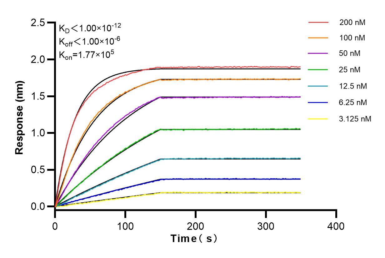 Affinity and Kinetic Characterization of 83840-6-RR