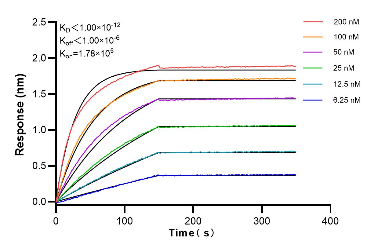 Affinity and Kinetic Characterization of 83843-6-RR