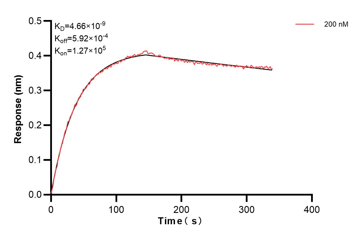 Affinity and Kinetic Characterization of 83844-2-PBS