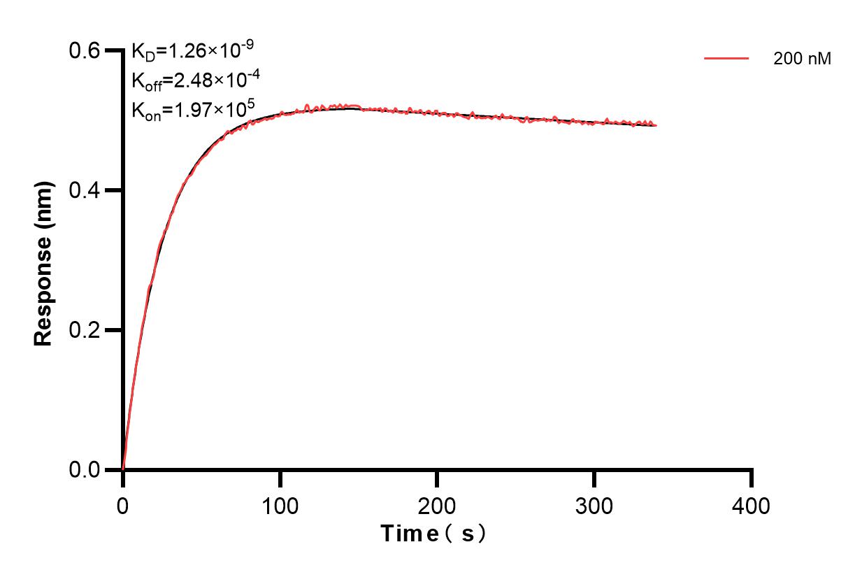 Affinity and Kinetic Characterization of 83844-3-PBS