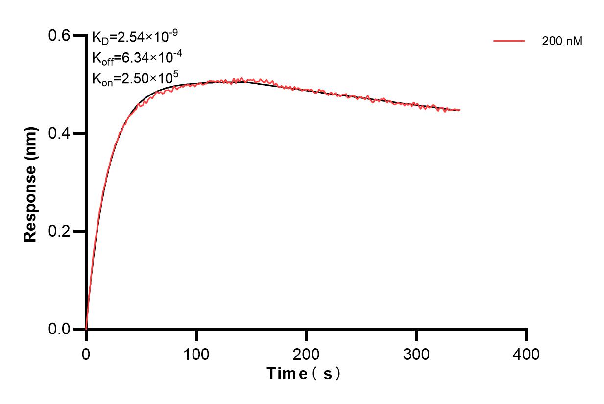 Affinity and Kinetic Characterization of 83844-4-PBS