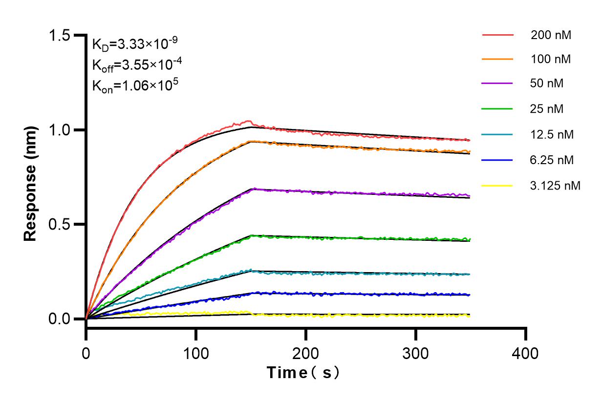 Affinity and Kinetic Characterization of 83844-5-RR