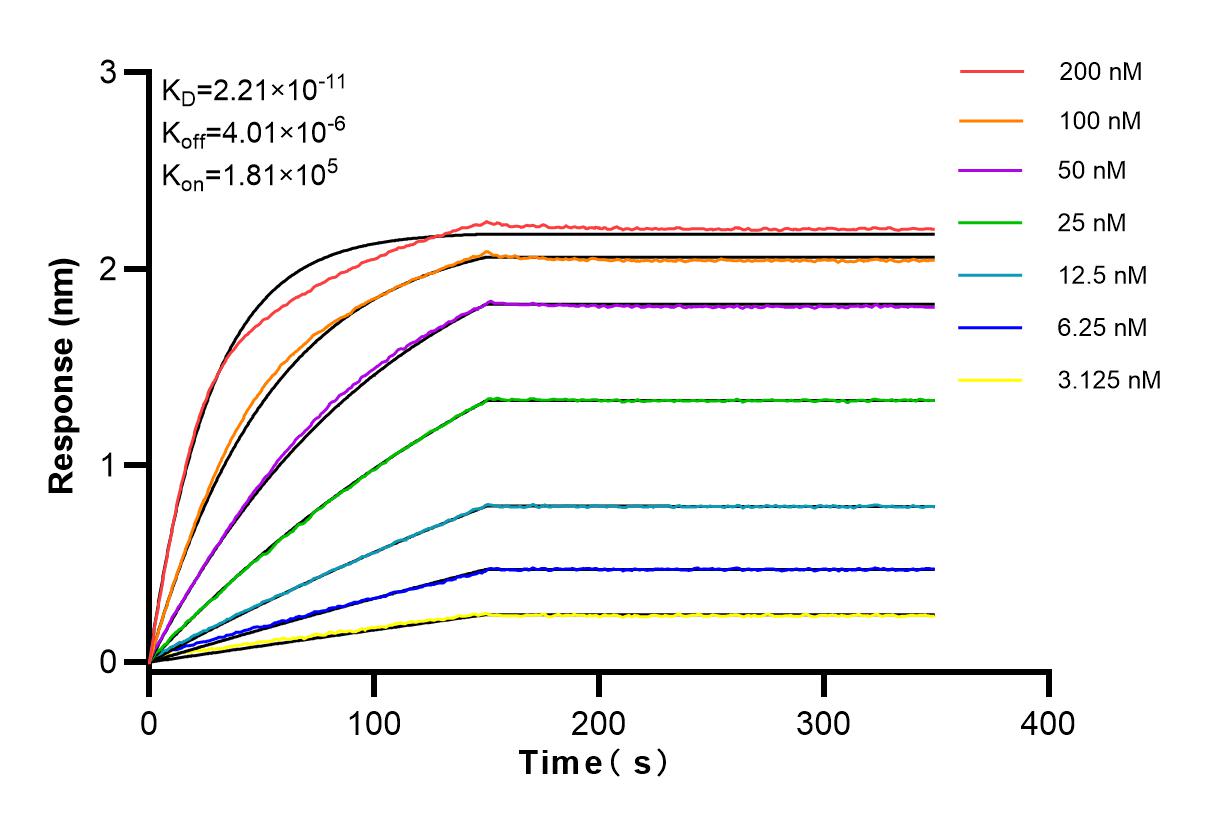 Affinity and Kinetic Characterization of 83848-4-RR