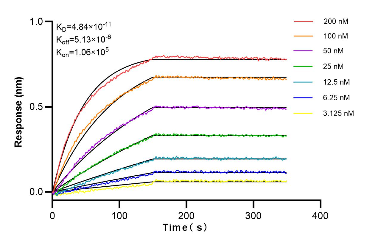 Affinity and Kinetic Characterization of 83851-6-RR