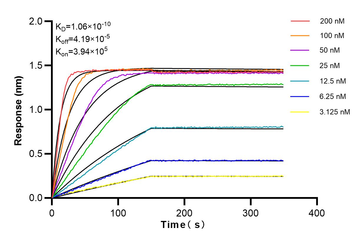 Affinity and Kinetic Characterization of 83852-3-RR