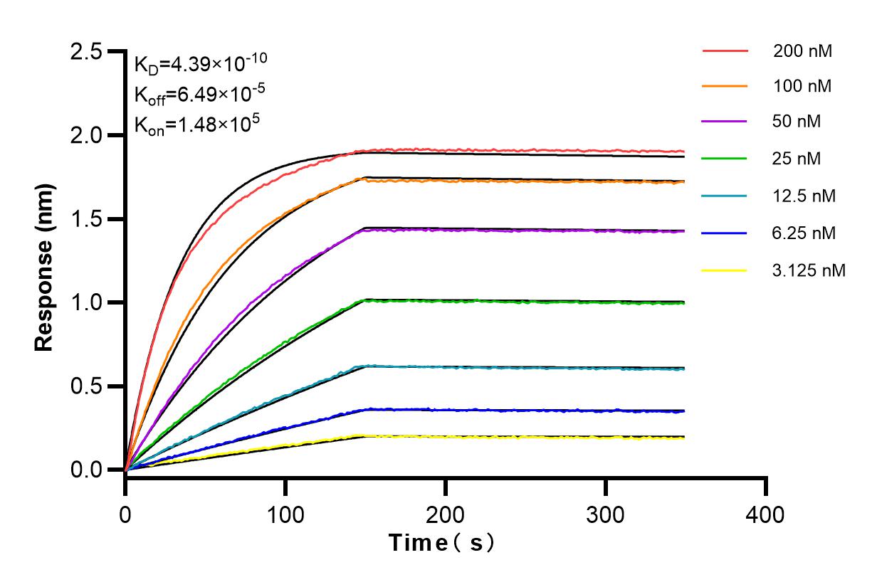 Affinity and Kinetic Characterization of 83856-4-RR