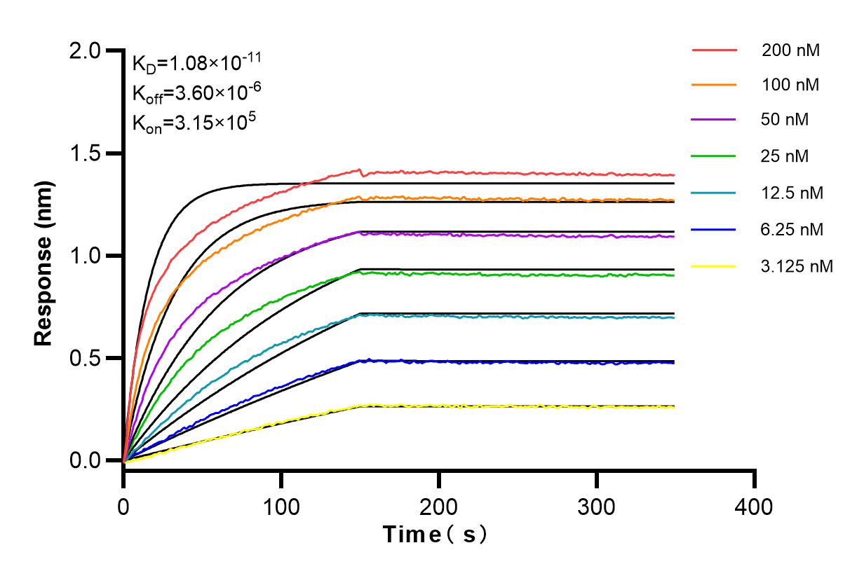 Affinity and Kinetic Characterization of 83863-2-RR