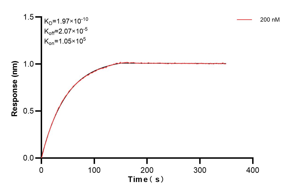 Affinity and Kinetic Characterization of 83875-3-PBS