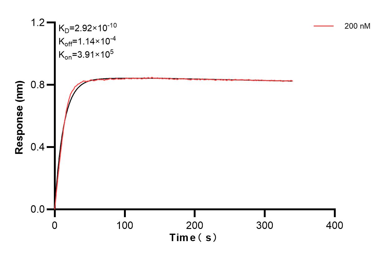 Affinity and Kinetic Characterization of 83875-4-PBS