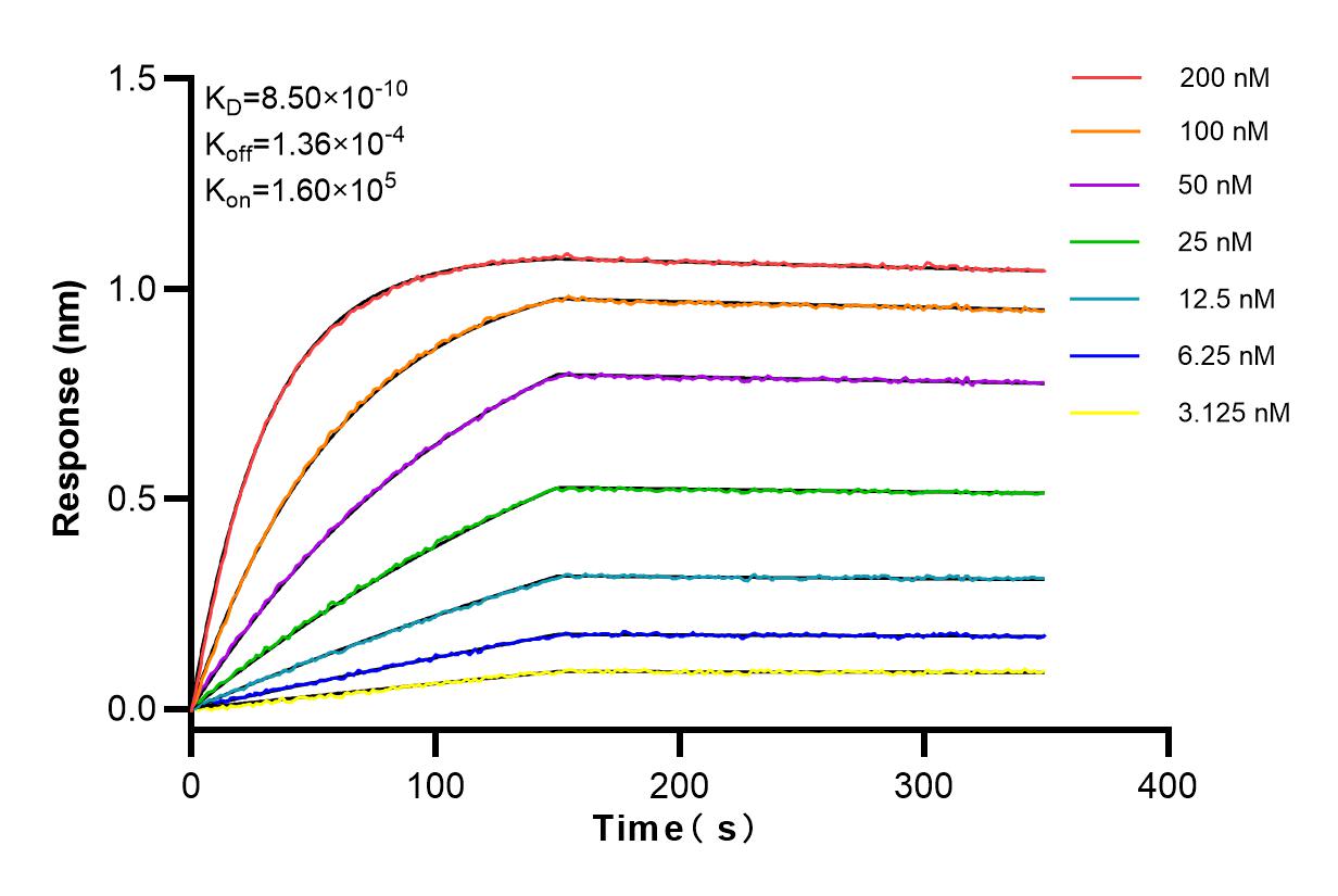 Affinity and Kinetic Characterization of 83887-4-RR