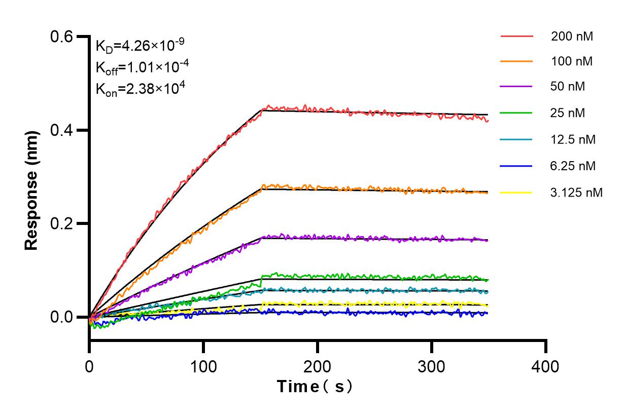 Affinity and Kinetic Characterization of 83889-4-RR