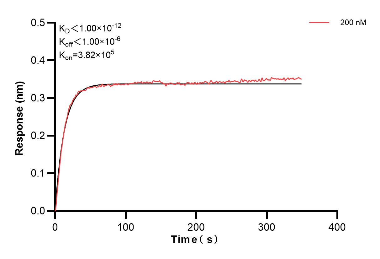 Affinity and Kinetic Characterization of 83894-4-PBS
