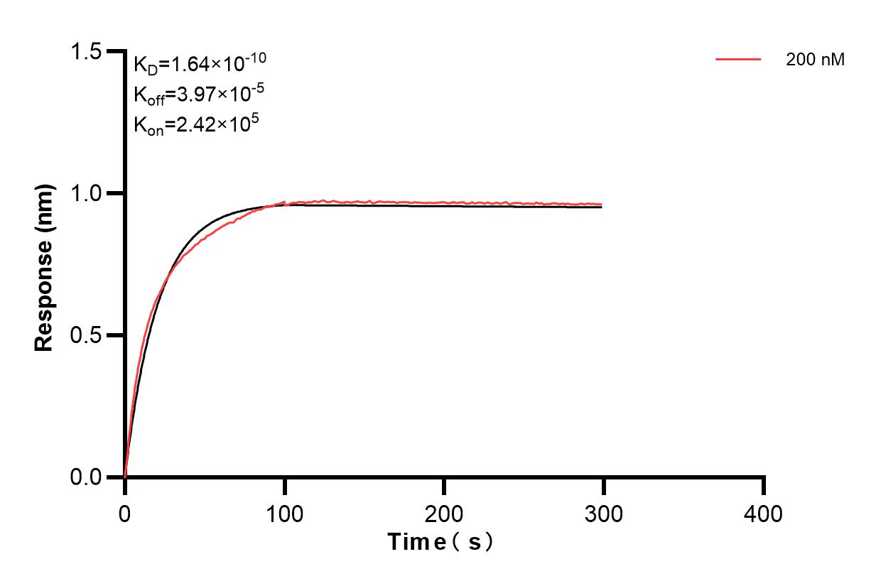 Affinity and Kinetic Characterization of 83898-1-PBS